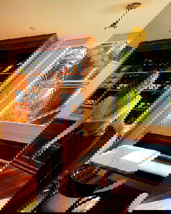 carolinezalog carolinezalog archive image