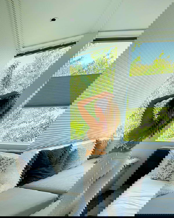 carolinezalog carolinezalog archive image