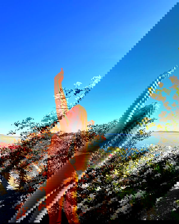 carolinezalog carolinezalog archive image