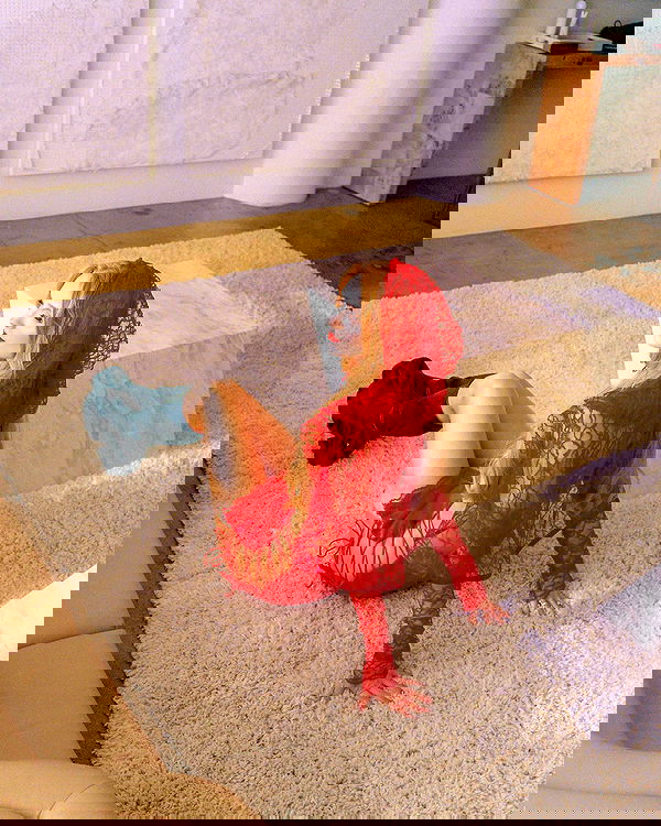 carolinezalog carolinezalog archive image