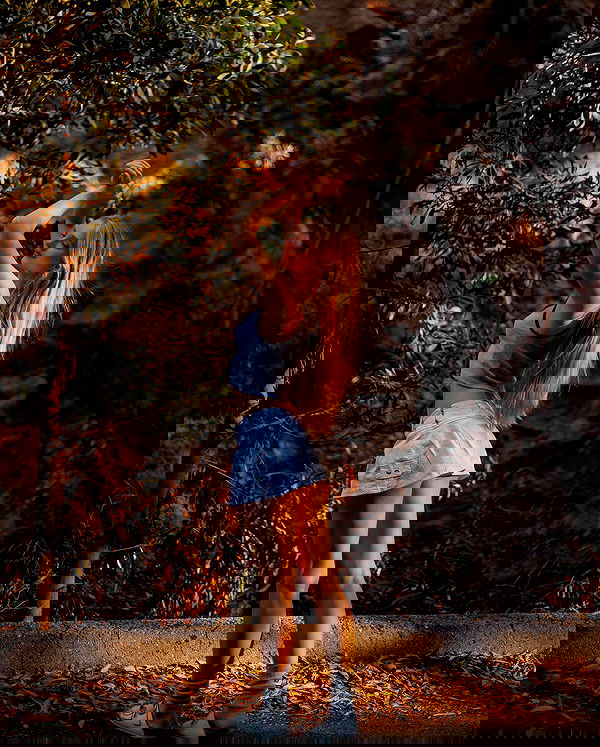 carolinezalog carolinezalog archive image