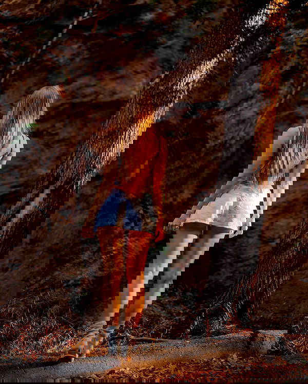 carolinezalog carolinezalog archive image