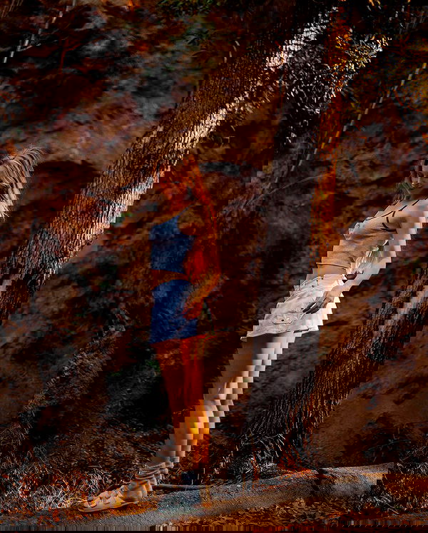 carolinezalog carolinezalog archive image