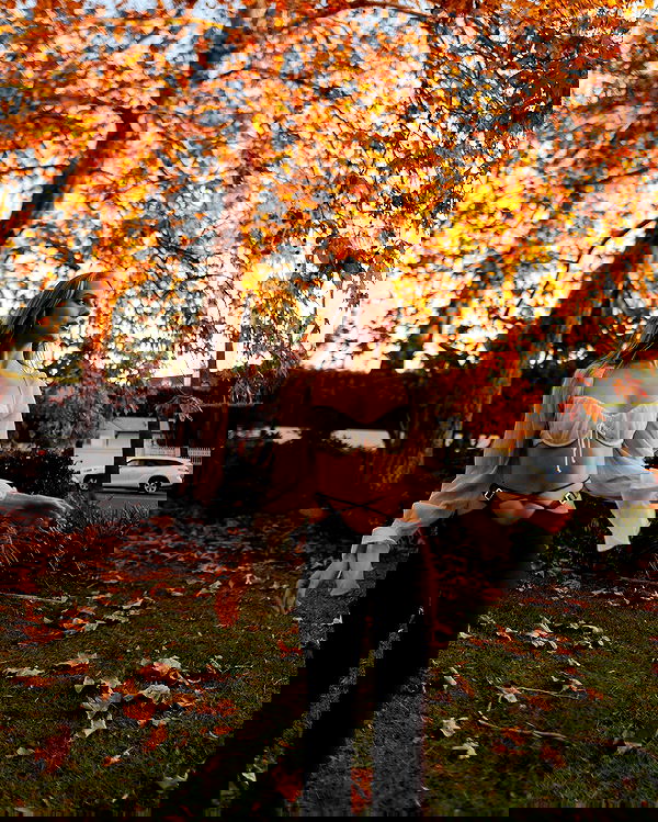 carolinezalog carolinezalog archive image