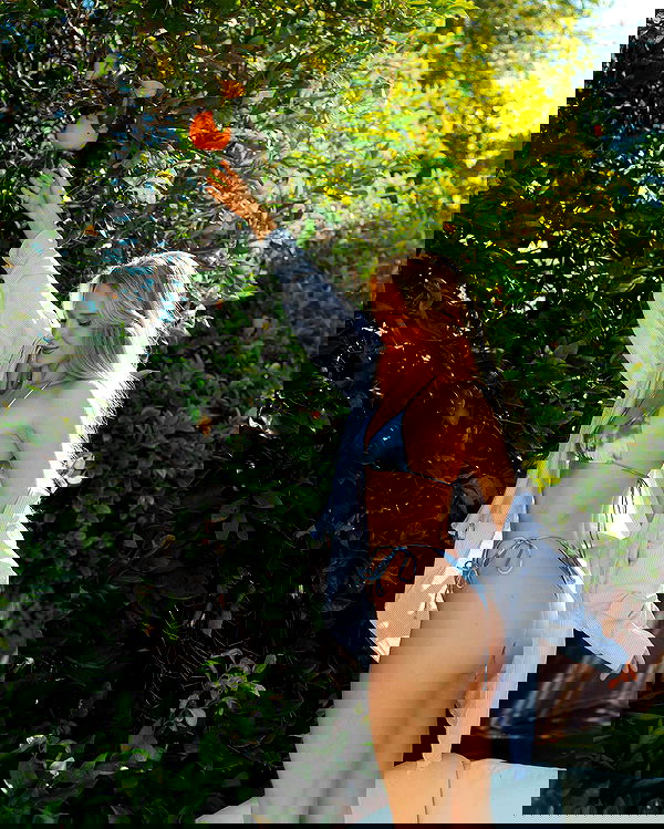 carolinezalog carolinezalog archive image