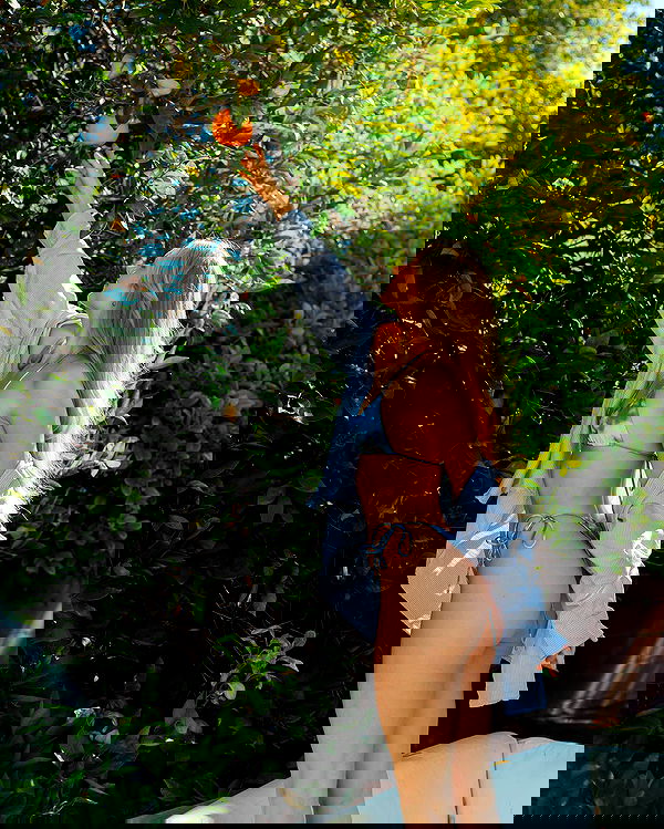 carolinezalog carolinezalog archive image