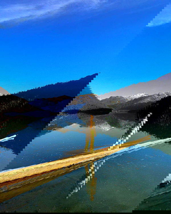 carolinezalog carolinezalog archive image