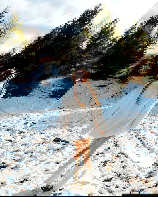 carolinezalog carolinezalog archive image