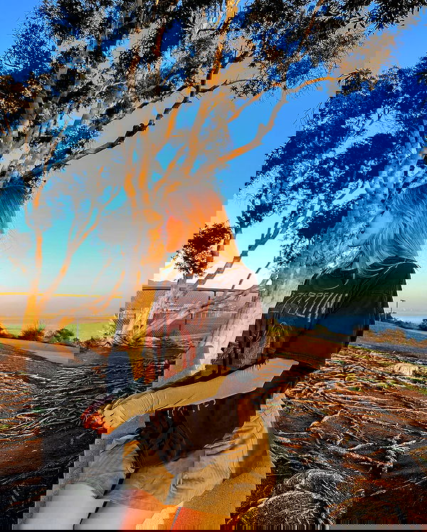 carolinezalog carolinezalog archive image