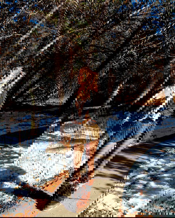 carolinezalog carolinezalog archive image