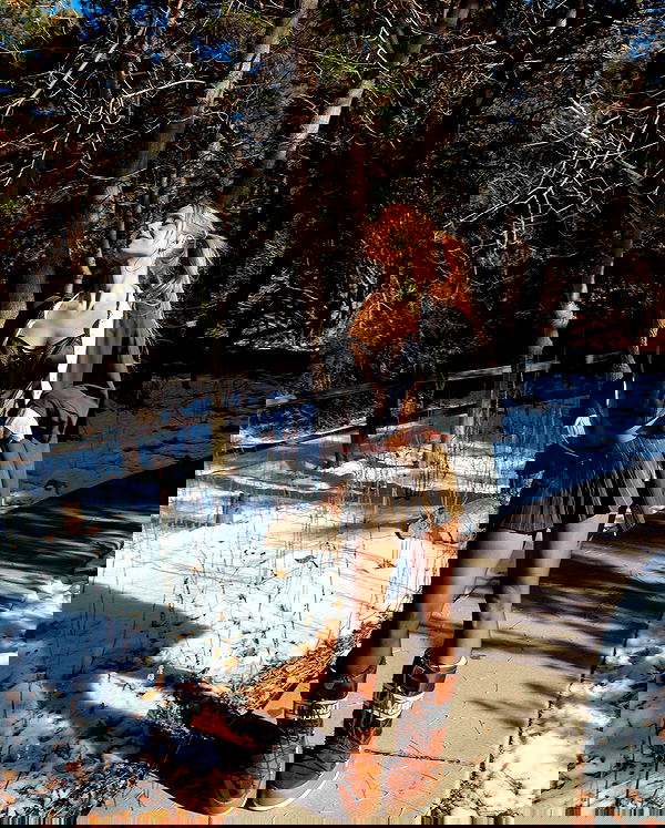 carolinezalog carolinezalog archive image