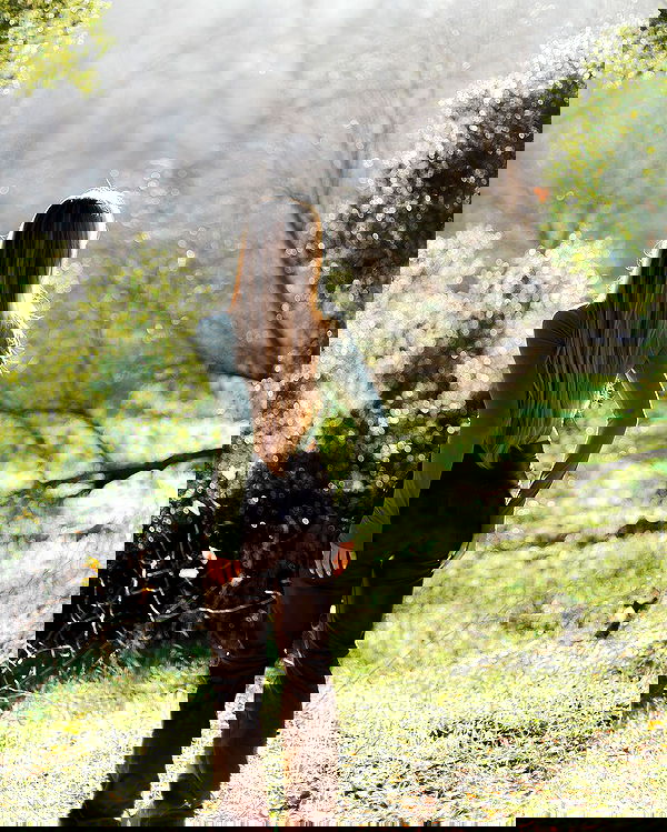 carolinezalog carolinezalog archive image