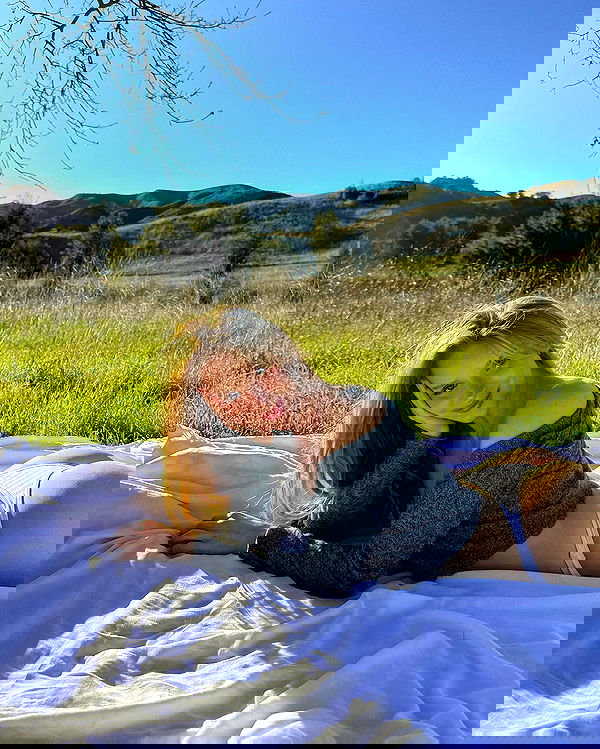 carolinezalog carolinezalog archive image