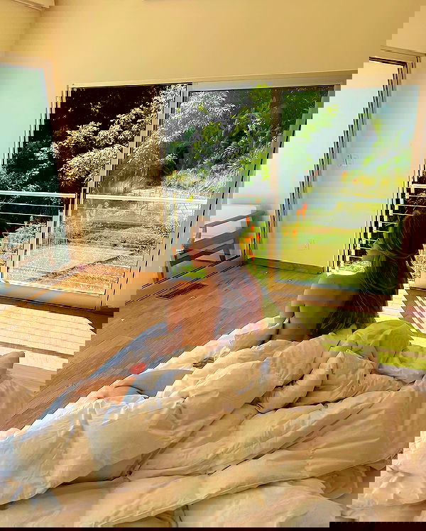 carolinezalog carolinezalog archive image