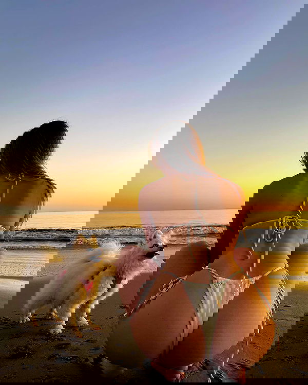 carolinezalog carolinezalog archive image