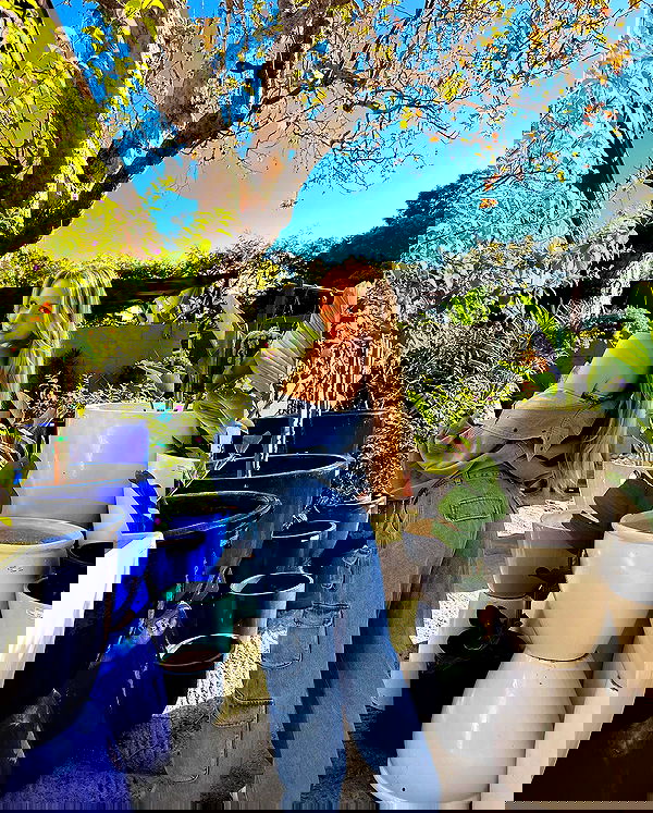 carolinezalog carolinezalog archive image