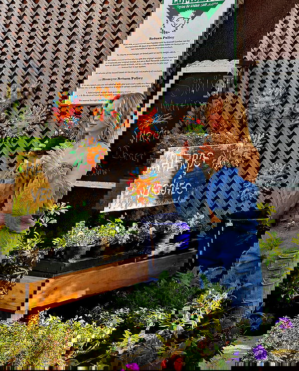 carolinezalog carolinezalog archive image