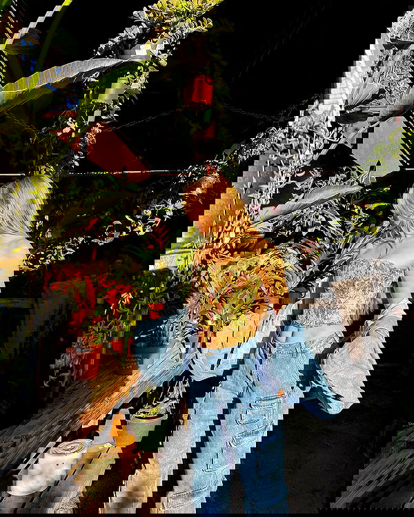 carolinezalog carolinezalog archive image