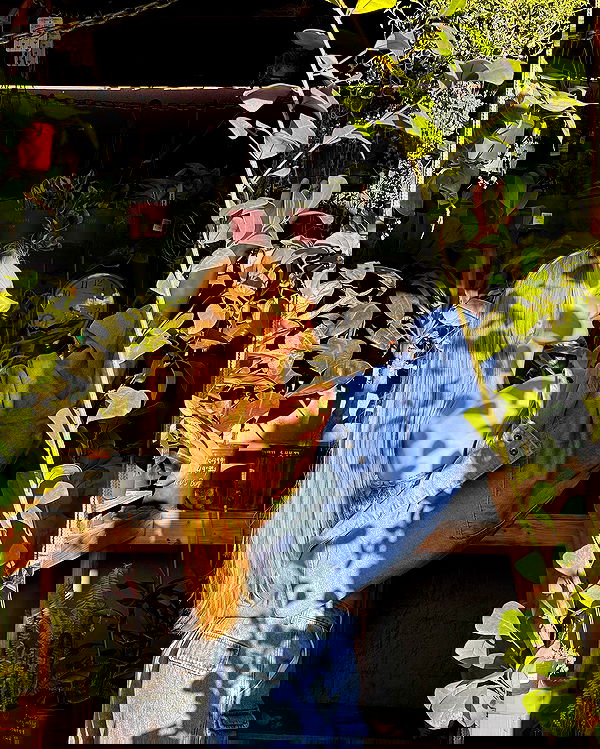 carolinezalog carolinezalog archive image