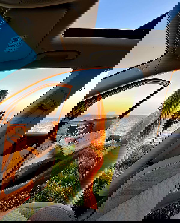 carolinezalog carolinezalog archive image