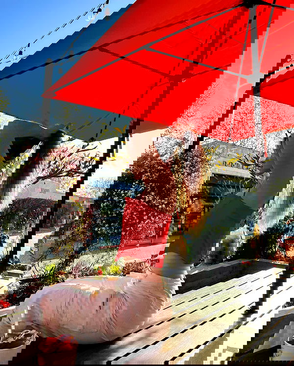 carolinezalog carolinezalog archive image