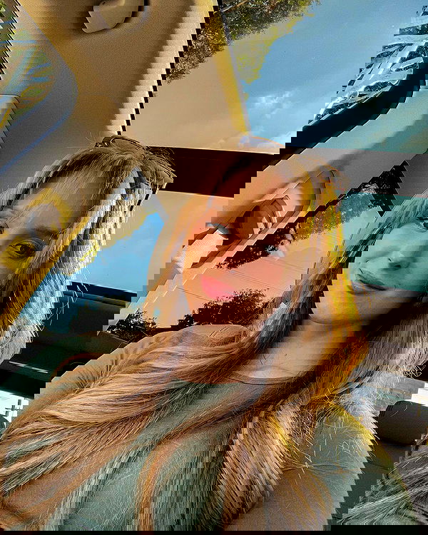 carolinezalog carolinezalog archive image