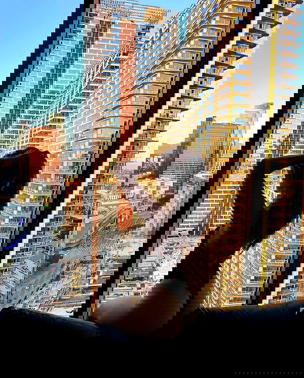 carolinezalog carolinezalog archive image