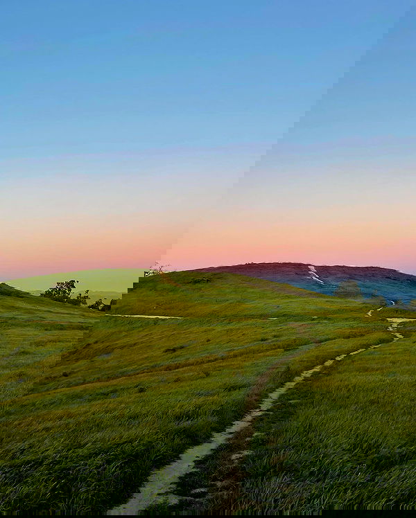 carolinezalog carolinezalog archive image