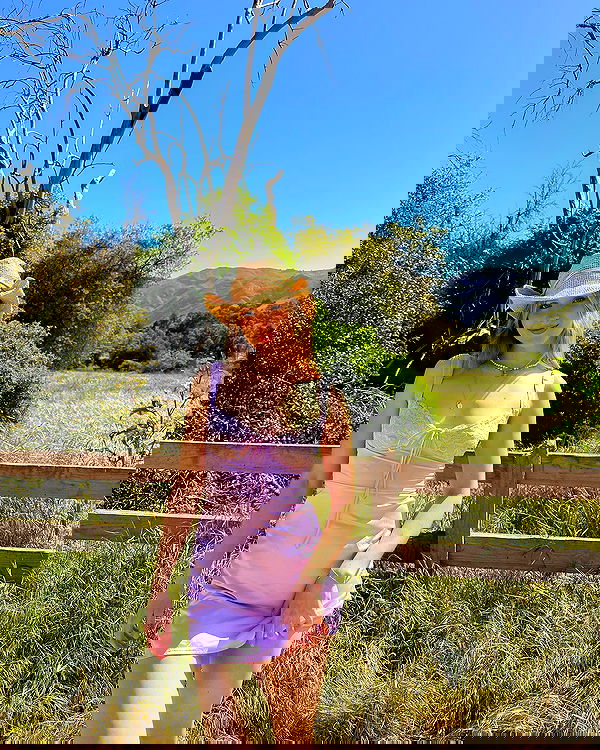 carolinezalog carolinezalog archive image