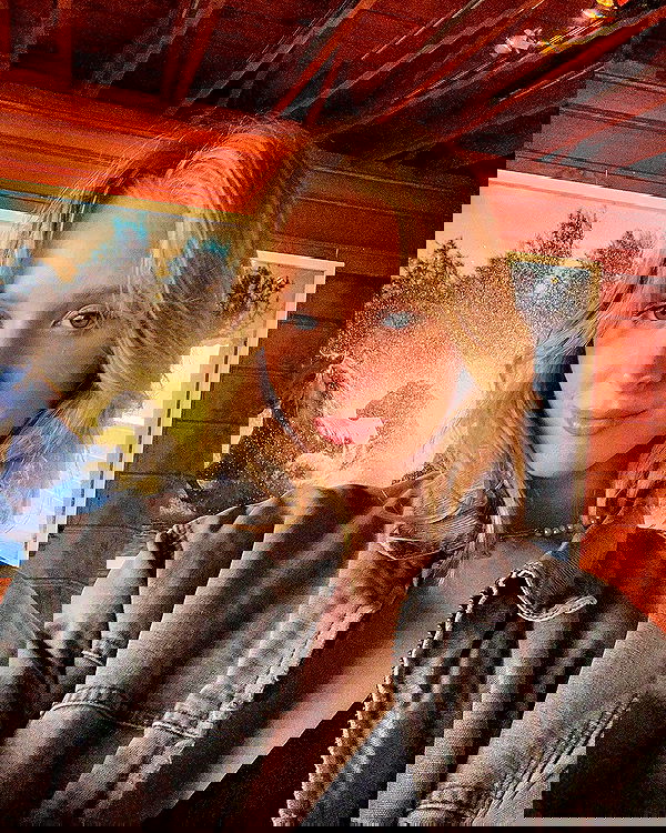 carolinezalog carolinezalog archive image