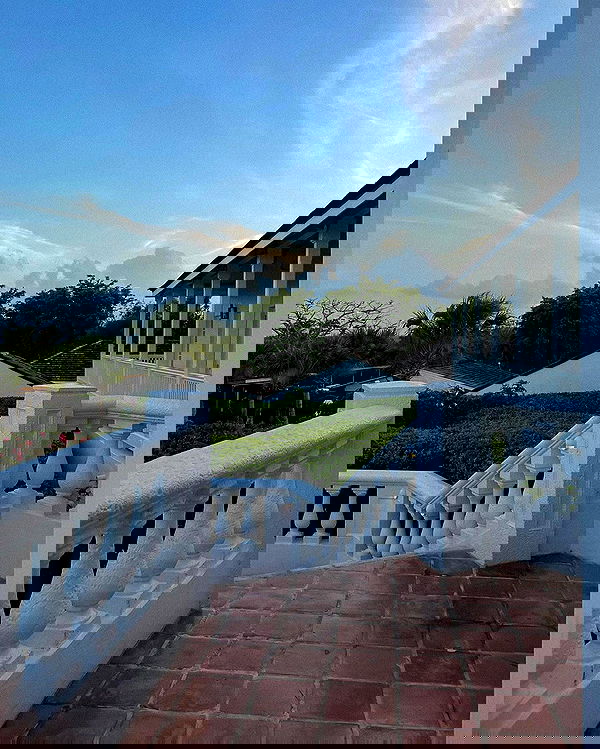 carolinezalog carolinezalog archive image