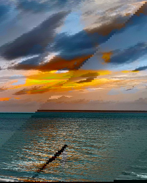 carolinezalog carolinezalog archive image