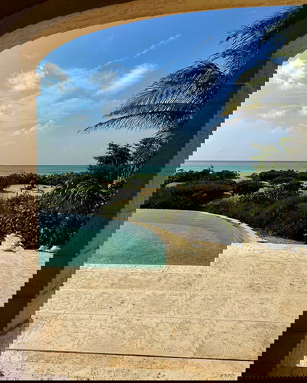 carolinezalog carolinezalog archive image