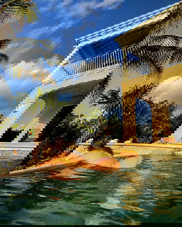 carolinezalog carolinezalog archive image