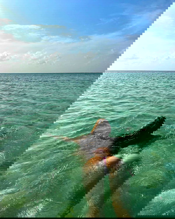 carolinezalog carolinezalog archive image