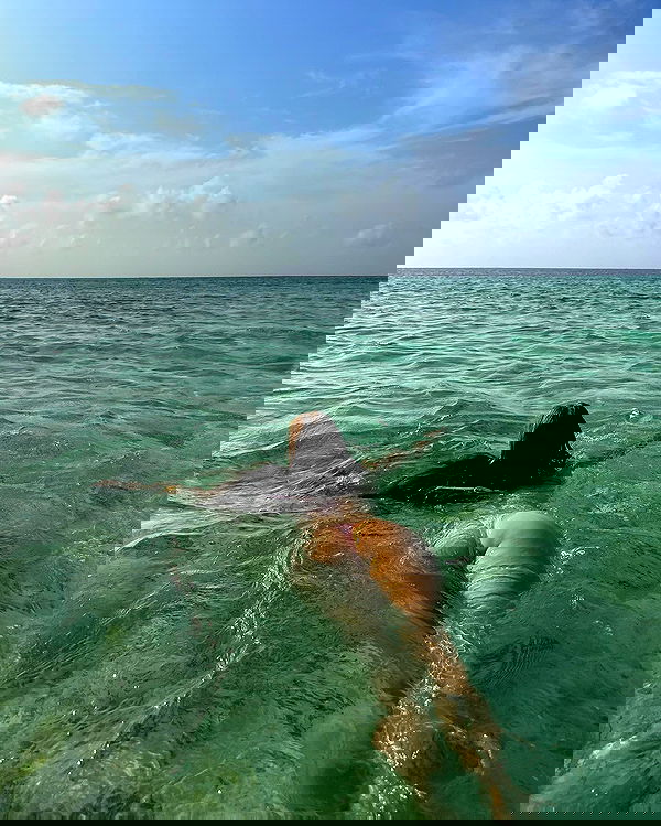 carolinezalog carolinezalog archive image