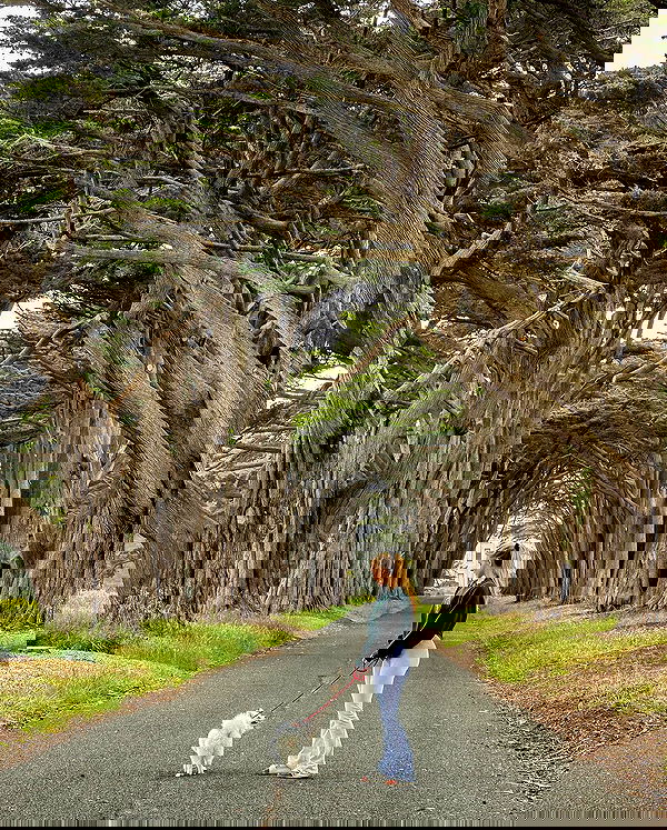 carolinezalog carolinezalog archive image