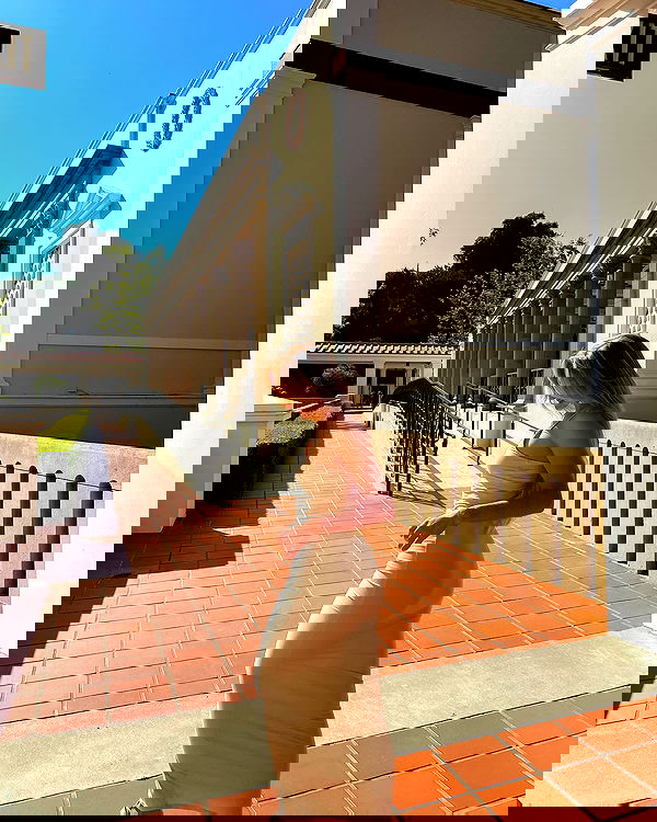 carolinezalog carolinezalog archive image