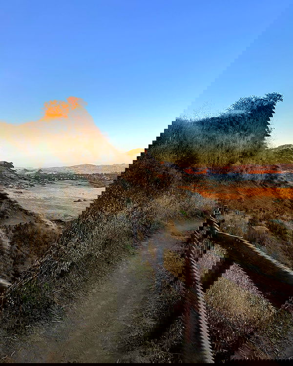 carolinezalog carolinezalog archive image