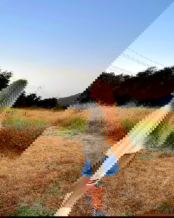 carolinezalog carolinezalog archive image