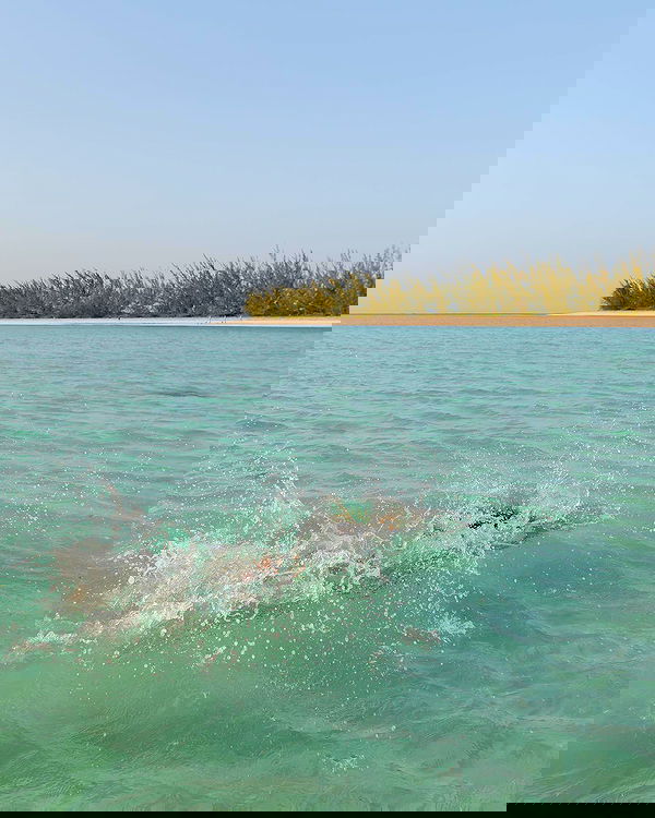 carolinezalog carolinezalog archive image