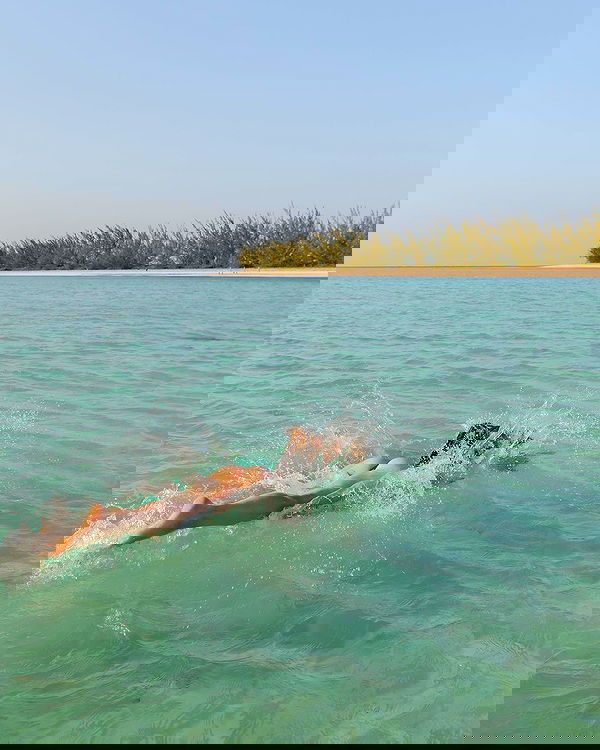 carolinezalog carolinezalog archive image