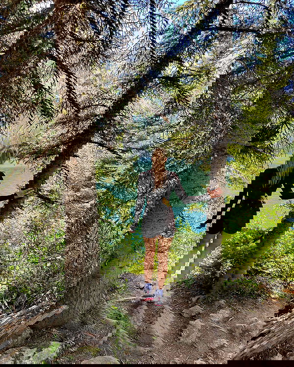 carolinezalog carolinezalog archive image