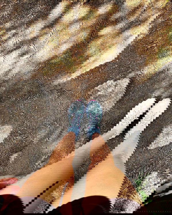 carolinezalog carolinezalog archive image