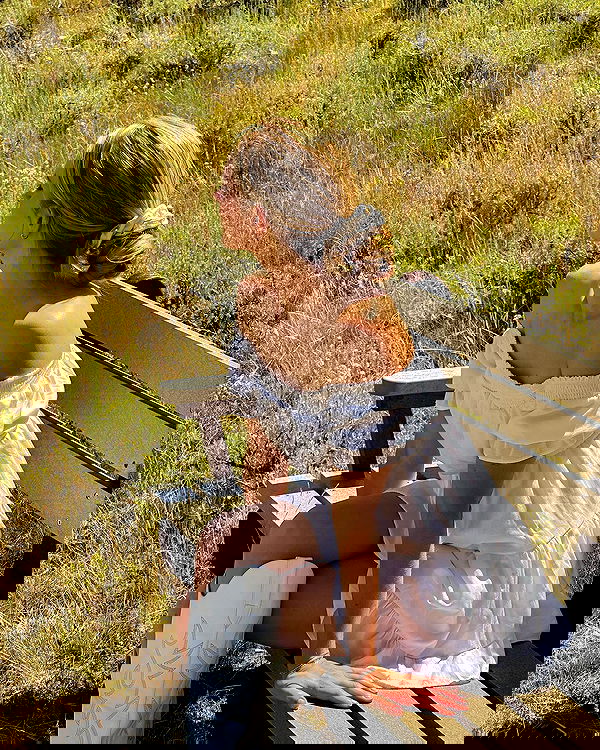 carolinezalog carolinezalog archive image