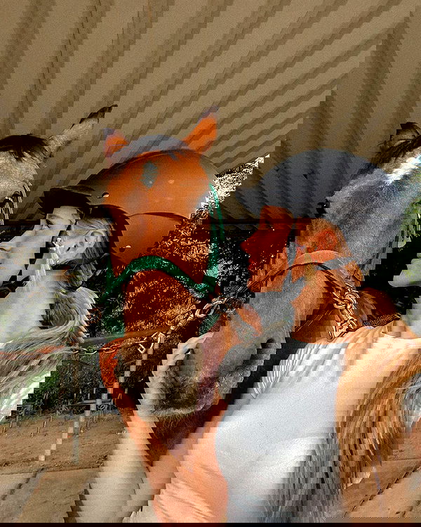 carolinezalog carolinezalog archive image