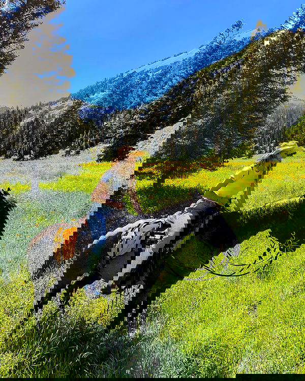 carolinezalog carolinezalog archive image