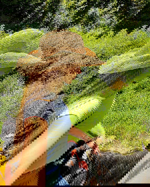 carolinezalog carolinezalog archive image