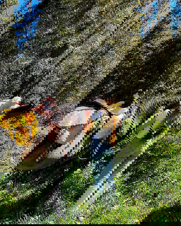 carolinezalog carolinezalog archive image