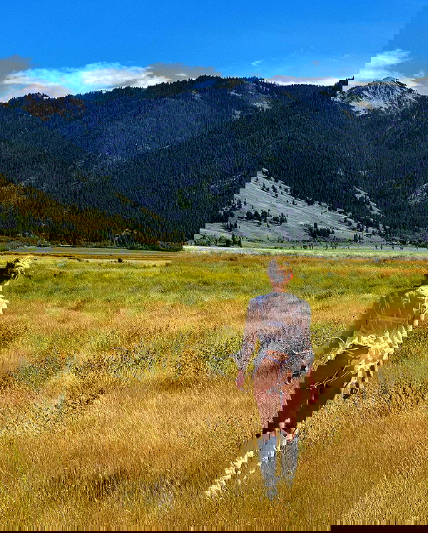 carolinezalog carolinezalog archive image